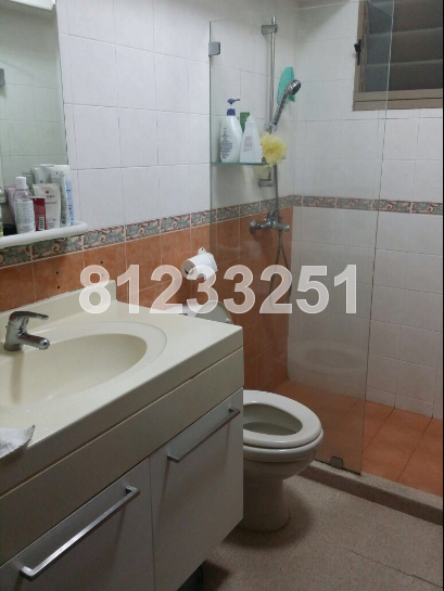 Blk 161B Punggol Central (Punggol), HDB 5 Rooms #45678252